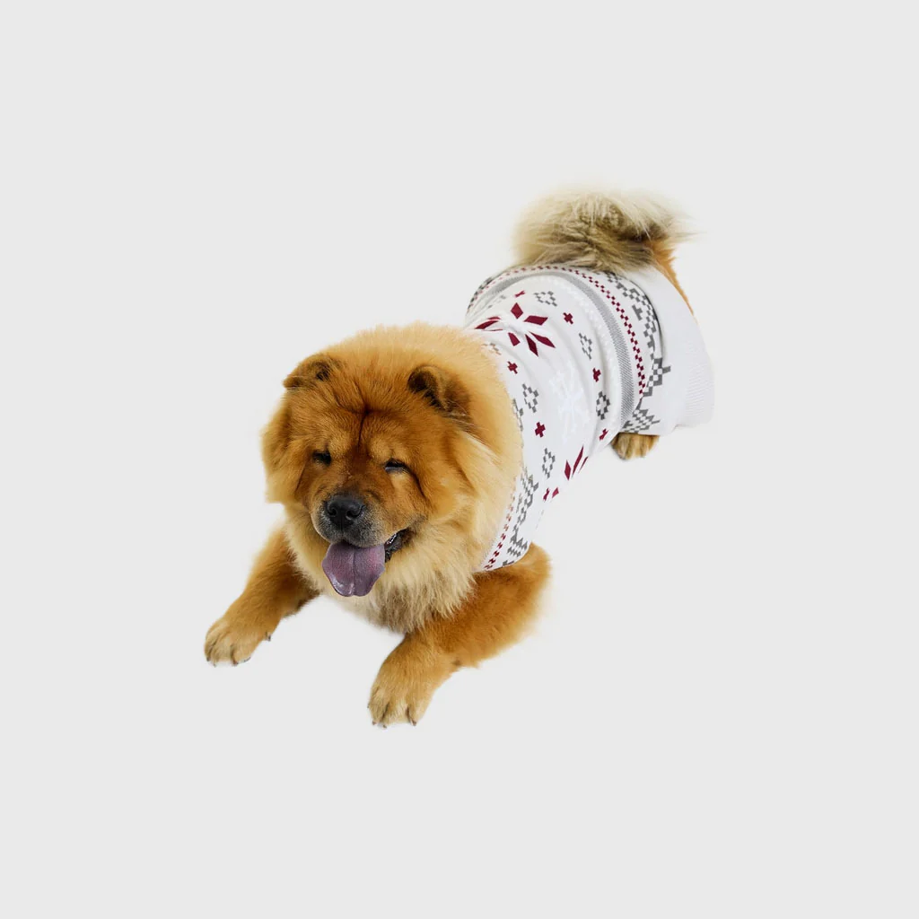 Fancy Hunde-Weihnachtspullover - Image 5