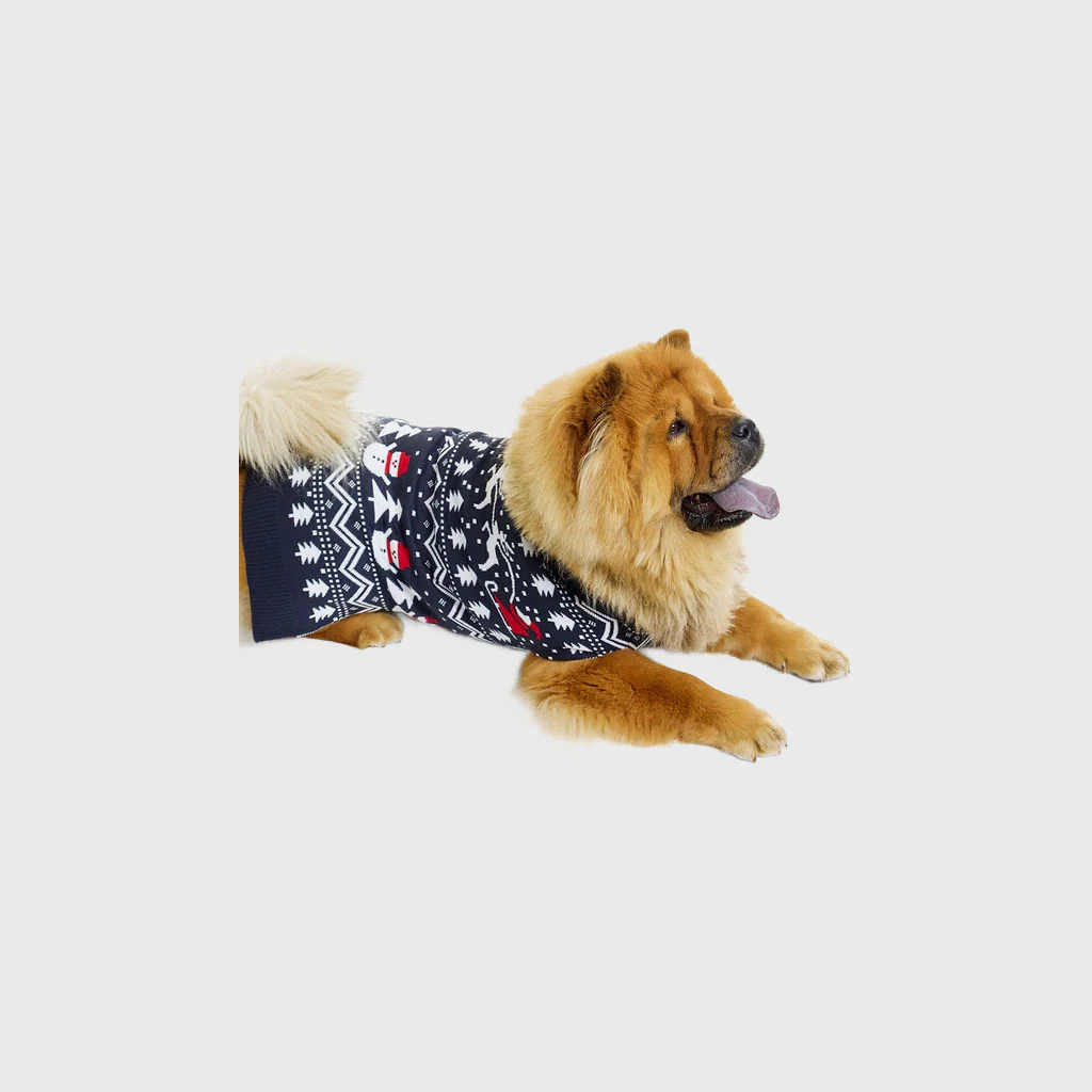 Stilvolle Hunde-Weihnachtspullover - Image 8